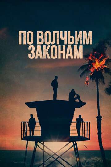 По волчьим законам (2016)