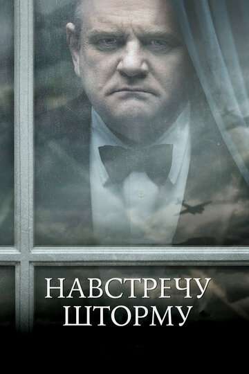 Навстречу шторму (2009)